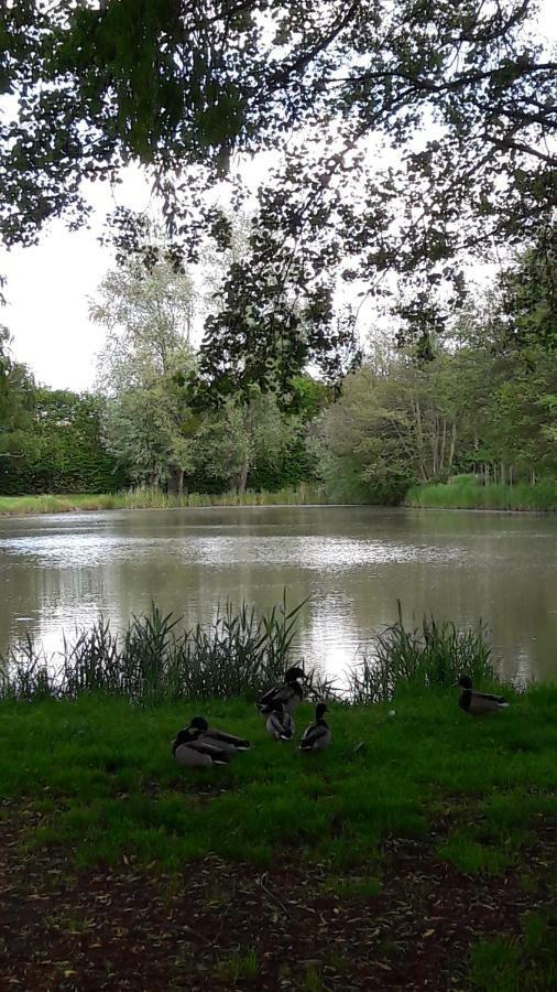 Entre Loire Et Cher Grand Côté Tilleul